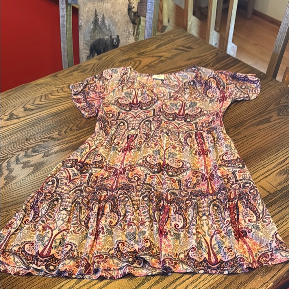 Knox Rose Red and Pink Casual Flutter Sleeve Dress